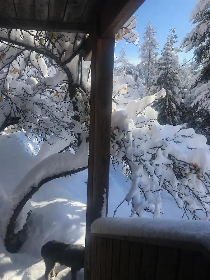 Chalet Familial Auron