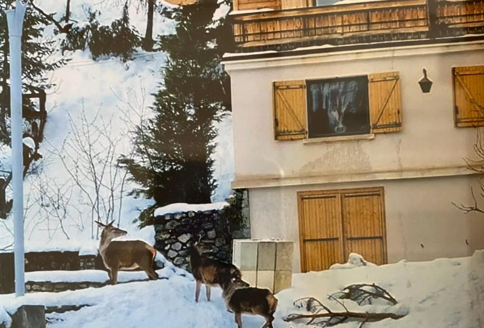 Chalet Familial Auron
